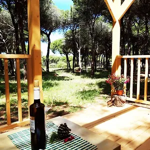 Сasa de vacaciones The Pineforest